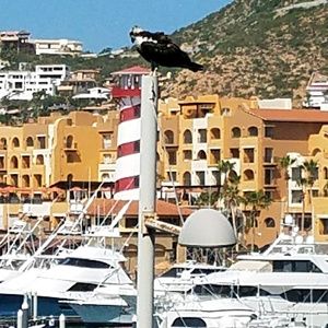 Meet your Posher, Nathaniel